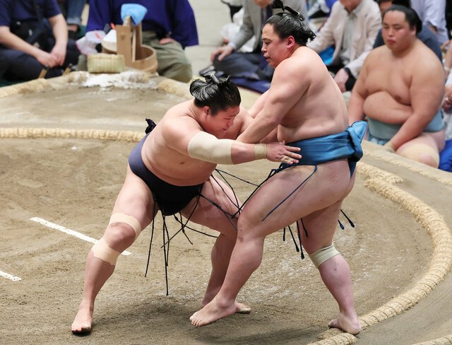 若隆景(左)は押し出しで琴栄峰を破る＝瀬戸口翼撮影