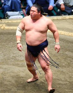 優勝決定戦で霧島を破り優勝した若隆景(撮影･野上伸悟)