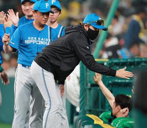 阪神対日本ハム　阪神に3連勝しタッチをかわす日本ハム新庄剛志監督(撮影･上山淳一)