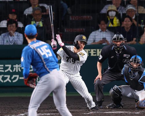 2026年5月28日、阪神対日本ハム　5回裏阪神2死、福島圭音は安打を放つ(撮影･上田博志)