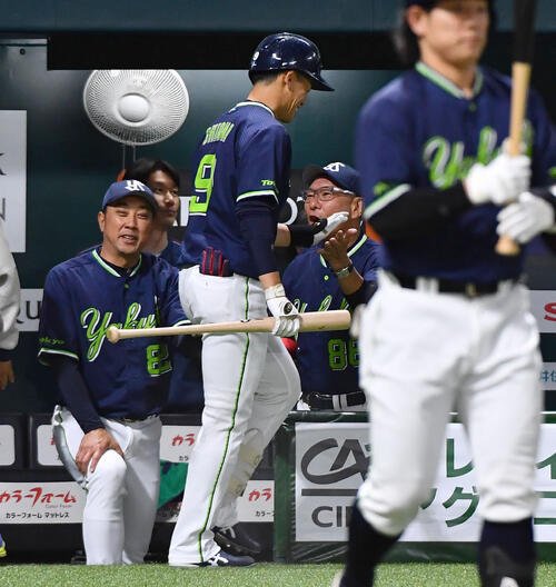 ソフトバンク対ヤクルト　6回表ヤクルト1死満塁、勝ち越しの中犠飛を放った塩見泰隆(左から2人目)を迎える池山隆寛監督(撮影･岩下翔太)
