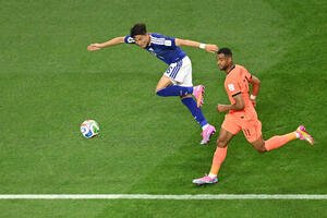 W杯北中米大会　オランダに体を張った守備を見せる渡辺剛(AP)