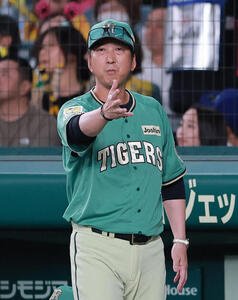 阪神対楽天　8回裏阪神1死一塁、藤川球児監督は代打前川右京を球審に告げる(撮影･上山淳一)