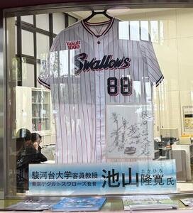 駿河台大学内にあるヤクルト池山隆寛監督のユニホーム、直筆サインが書かれた色紙(撮影･塚本光)
