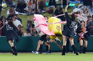巨人対ヤクルト　5回裏終了後の｢すしレース｣はエビ(中央左)が制する(撮影･江口和貴)