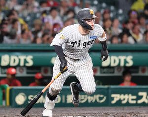 阪神対広島　5回裏阪神1死一、二塁、佐藤輝明は右前打を放ち、失策と悪送球の間に自らも生還。3点勝ち越しに成功する(撮影･宮崎幸一)