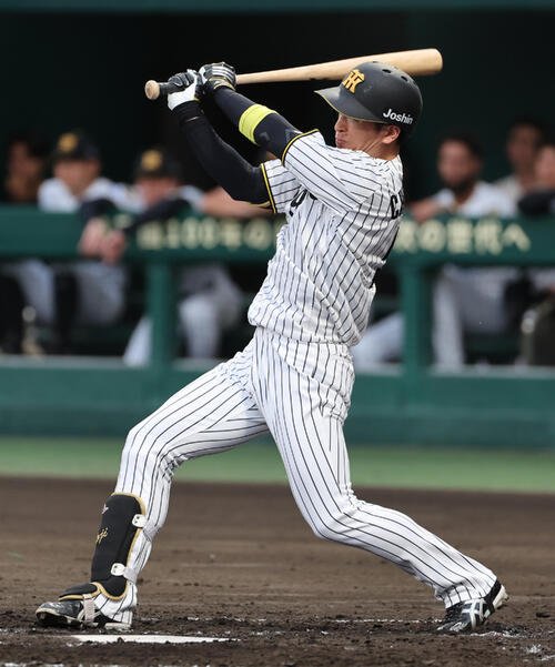 阪神対広島　3回裏阪神2死、近本光司は粘った末に二ゴロに終わる(撮影･西尾就之)