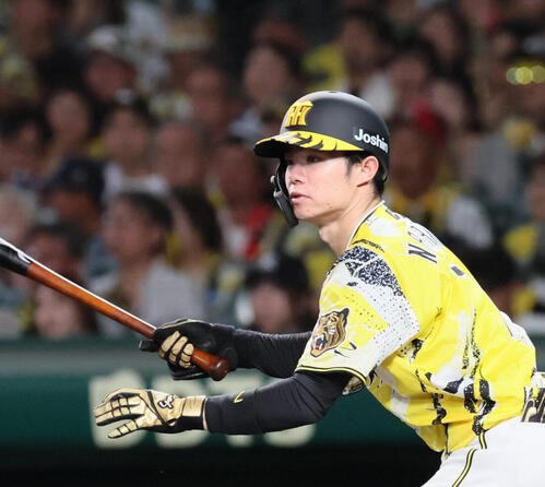 阪神中野拓夢(2026年撮影)