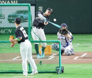 全セ対全パ　ホームランダービー準決勝で柵越え弾を放つ阪神佐藤輝明(撮影･宮地輝)