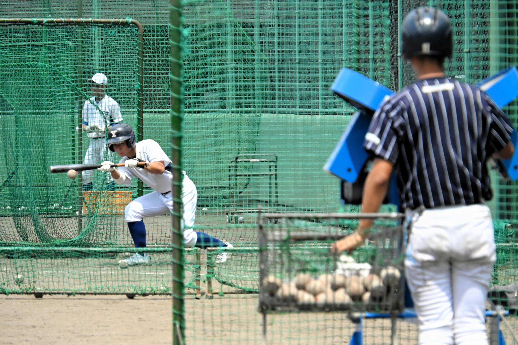バントの練習をする横手の選手=2026年7月30日、京都市伏見区、横山翼撮影