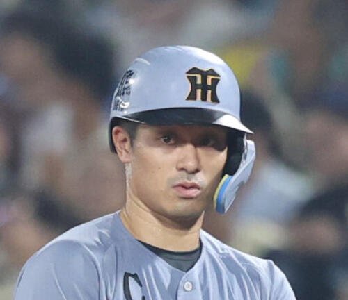 阪神坂本誠志郎(2026年8月撮影)