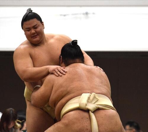一意に胸を出す義ノ富士(撮影･山田遼太郎)