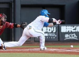 日本ハム対楽天　7回裏日本ハム無死一塁、送りバントを決める水野達稀(撮影･黒川智章)