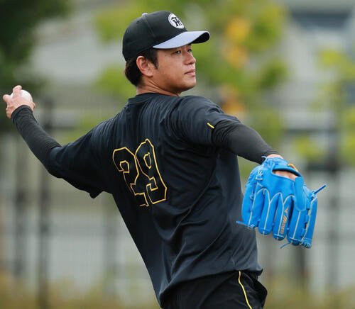投手指名練習でキャッチボールする阪神高橋遥人(撮影･上山淳一)