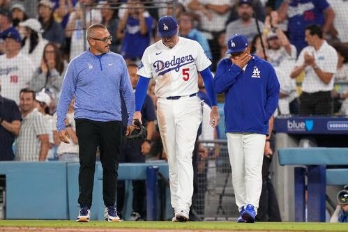 ロバーツ監督らに付き添われ、グラウンドに戻るドジャース･フリーマン(AP)