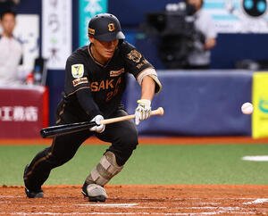 阪神対ヤクルト　5回裏阪神無死一、二塁、谷端将伍は犠打を決める(撮影･上田博志)