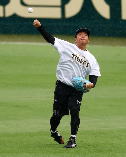 阪神対巨人　練習でキャッチボールする阪神村上頌樹(撮影･加藤哉)
