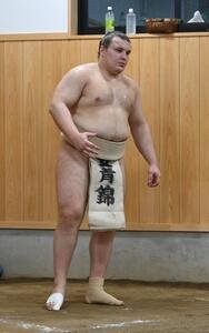 稽古に臨む安青錦