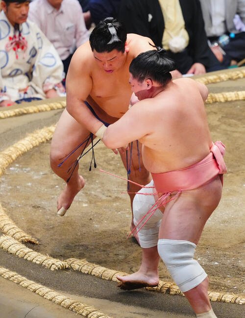 平戸海(左)は宇良を押し出しで破る(撮影･垰建太)