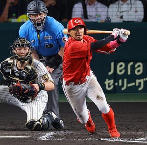 阪神対広島　8回表広島1死一塁、菊池涼介は安打を放つ(撮影･上田博志)