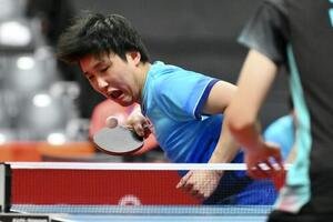 男子団体決勝　日本対中国　サーブを放つ張本智和(撮影･滝沢徹郎)