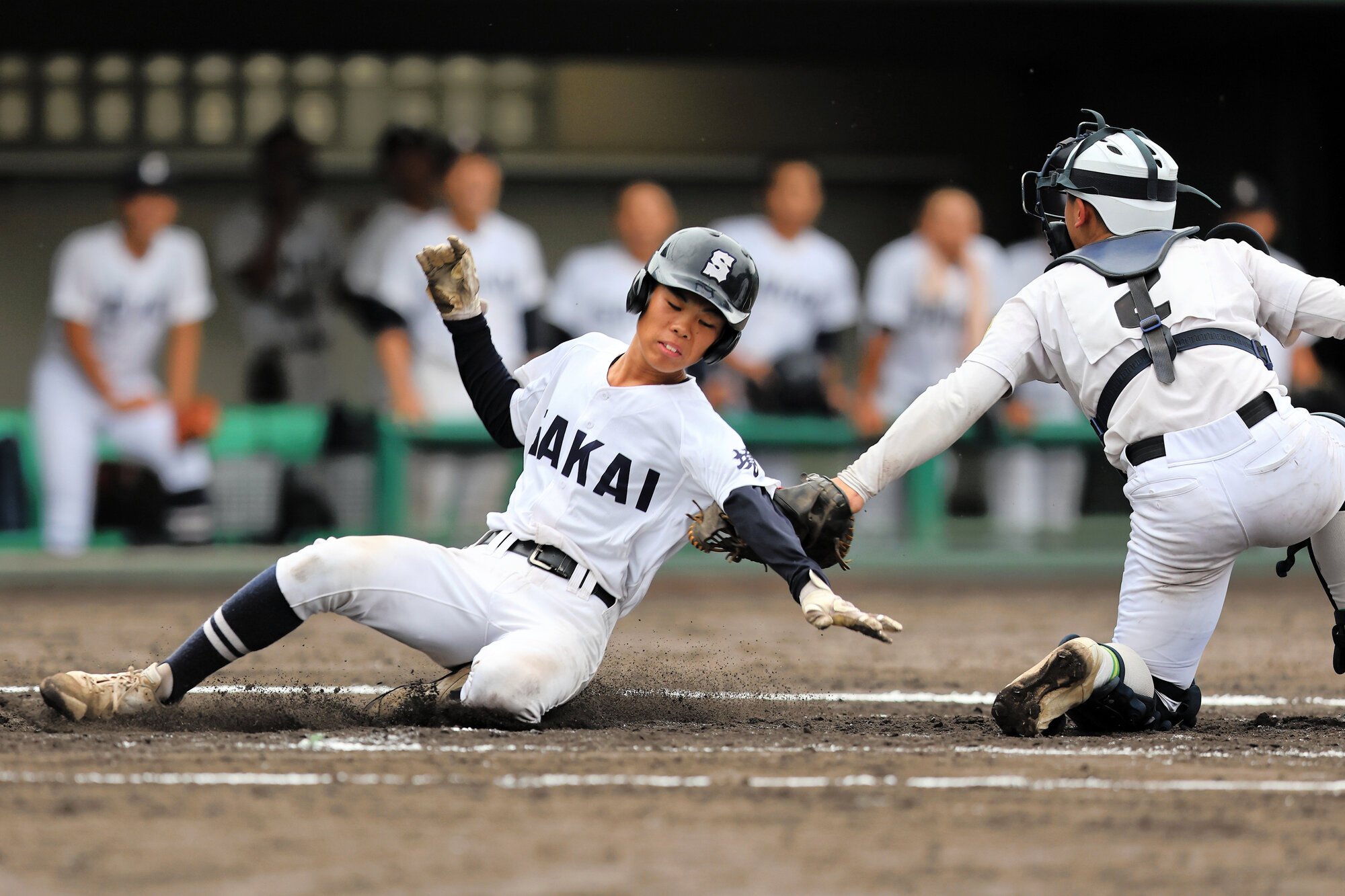 米子東―境　七回境、増田逸の中前打で、二塁走者石田が本塁を狙うがタッチアウト=2026年9月26日午後1時43分、どらドラパーク米子市民、山田一仁さん撮影