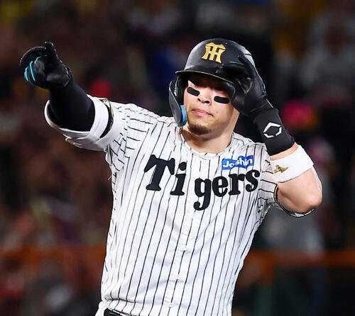 阪神佐藤輝明(2026年撮影)