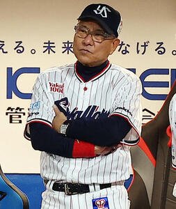 ヤクルト対広島　ベンチで浮かない表情をみせるヤクルト池山隆寛監督(撮影･野上伸悟)