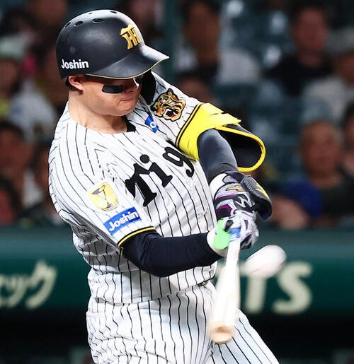 阪神森下翔太(2026年撮影)