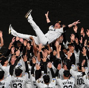リーグ優勝を果たし胴上げされる阪神藤川球児監督(撮影･石井愛子)
