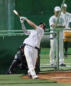 打撃練習をするソフトバンク柳田悠岐(撮影･梅根麻紀)