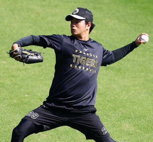 キャッチボールする阪神高橋遥人(撮影･加藤哉)