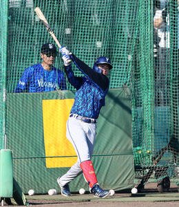 前日練習でフリー打撃をするDeNA度会隆輝(撮影･加藤哉)