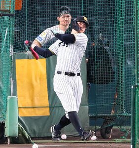 CSファイナル前日練習　打撃練習する阪神佐藤輝明。左は森下翔太(撮影･加藤哉)
