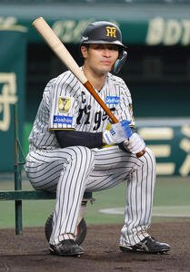 打撃練習の順番を待つ阪神坂本誠志郎(撮影･上田博志)