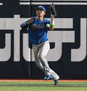 ソフトバンク対日本ハム　4回裏ソフトバンク1死満塁、正木智也の左飛を落球する郡司裕也(撮影･岩下翔太)