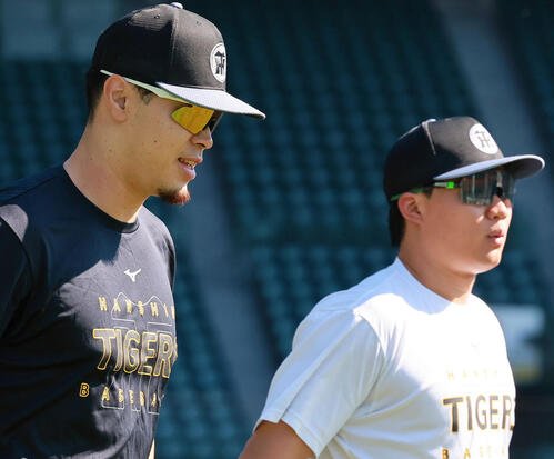 阪神佐藤輝明(左)と森下翔太(2026年10月撮影)