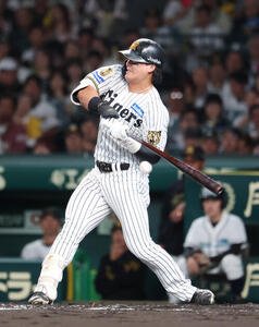 阪神対DeNA 2回裏阪神無死、死球を受ける前川右京(撮影･増田悦実)