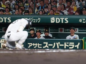 阪神対DeNA 2回裏阪神無死、死球を受け痛がる前川右京(手前)を見つめる藤川球児監督(右)(撮影･増田悦実)