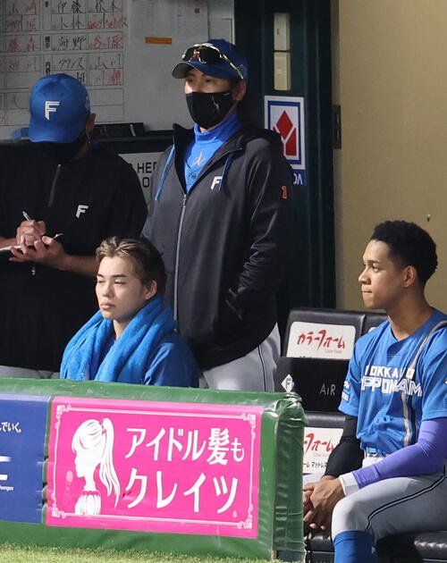 ソフトバンク対日本ハム　ベンチから試合を見つめる日本ハム新庄剛志監督(撮影･梅根麻紀)