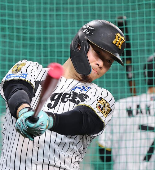 佐藤輝明(2026年10月撮影)