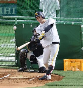 打撃練習をするソフトバンク正木智也(撮影･梅根麻紀)