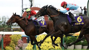 菊花賞を制したゴーイントゥスカイ(左)。右は2着バステール＝日刊スポーツ