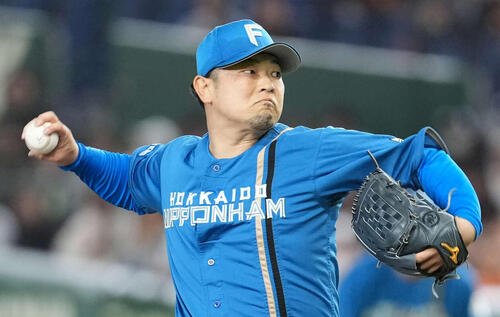 日本ハム池田隆英(2026年3月撮影)